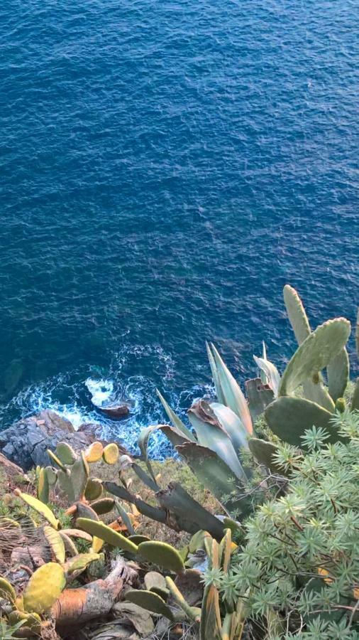 Appartement The Pearl Of 5 Terre - Monterosso à Monterosso al Mare Extérieur photo